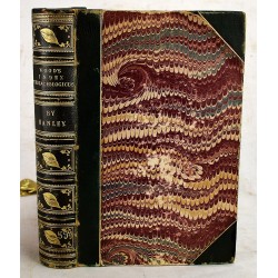 Index Testaceologicus: An Illustrated Catalogue of British and Foreign Shells, Containing about 2800 Figures Accurately Coloured After Nature 